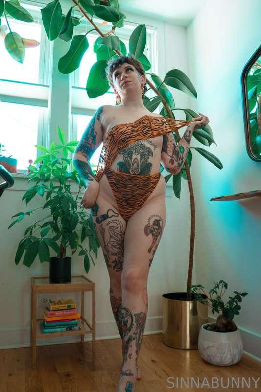 sinnabunny.premium image #18