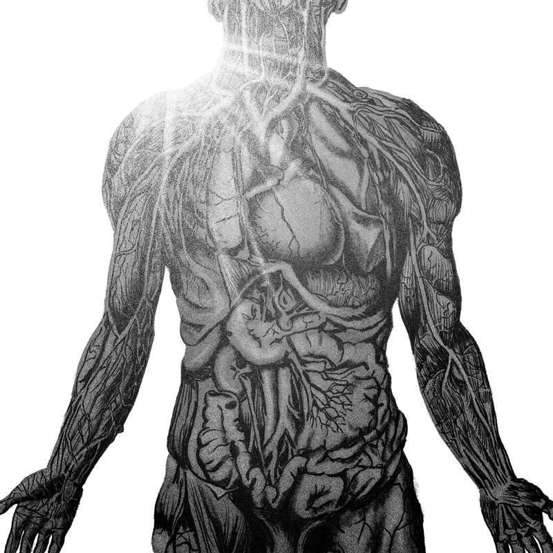 Who wants to live forever?