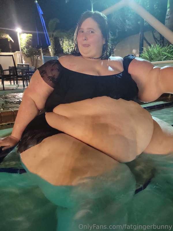 fatgingerbunny image #2