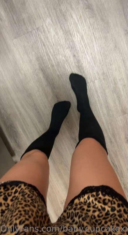 miabakervip image #1