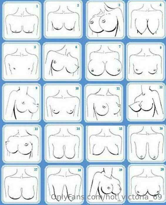 I have a question, what kind of breasts would you like to se..