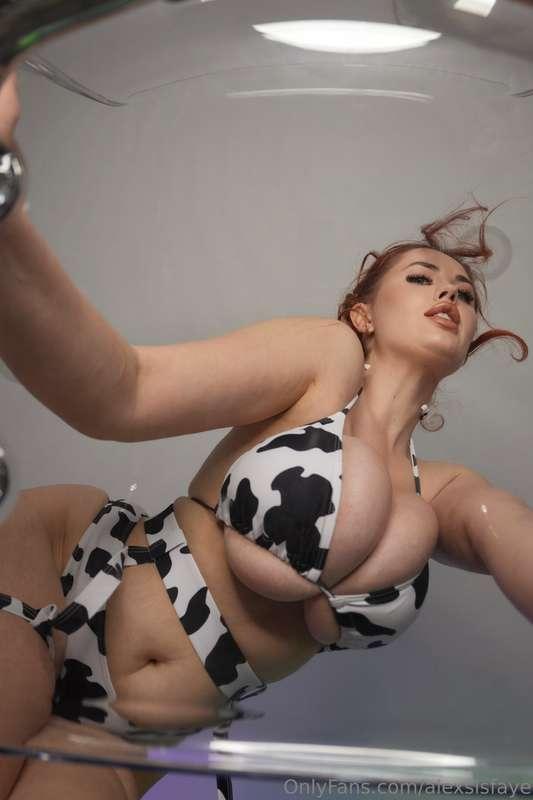 alexsisfaye image #9