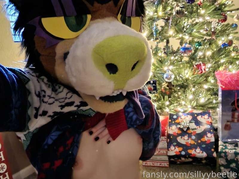 sillyybeetle image #2