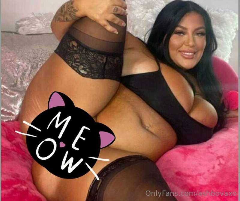 🚨LOST KITTY!🚨 My kitty is lost! Check your DM’s for my kitty..