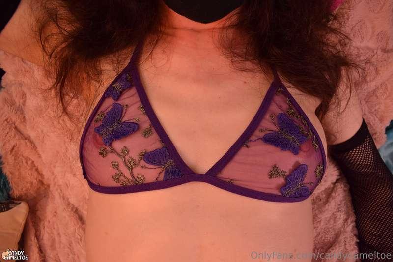 candycameltoe image #0