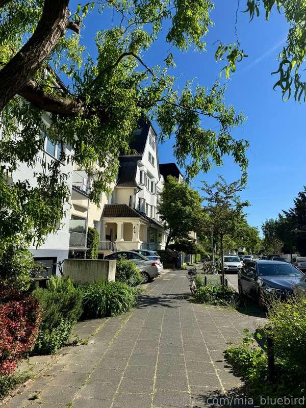 mia_bluebird image #0