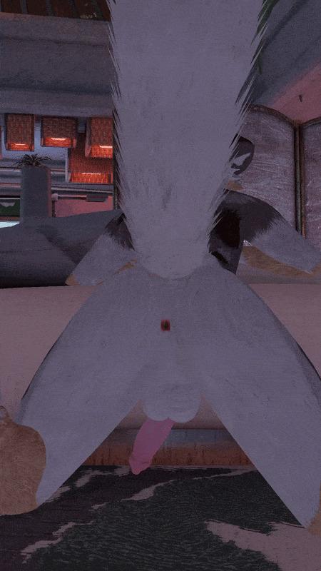 wilddoggyvr image #0