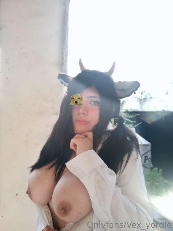 🐄