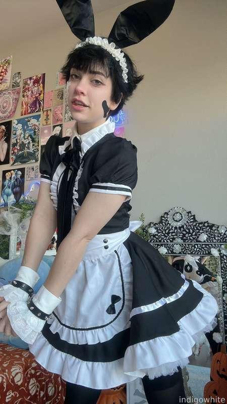 indigowhite image #18