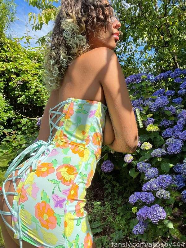 alibaby444 image #13