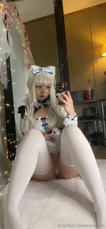 nekopara!! 🩵🐾