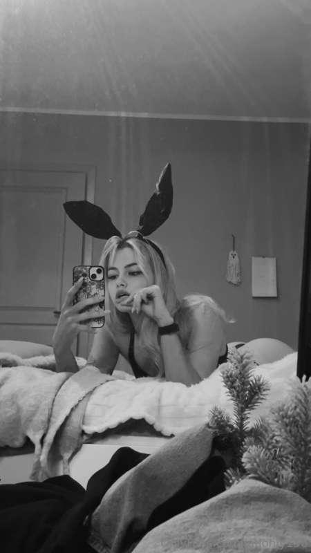 🐰