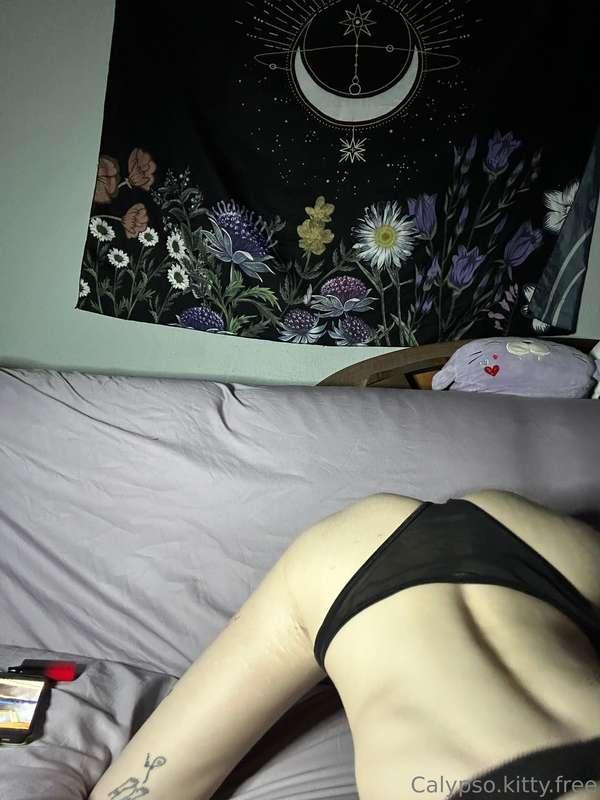 calypsokittyfree image #0