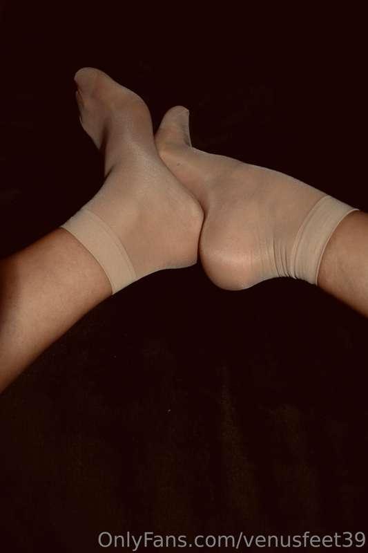 I swear to you I won't stop until your body is shaking and t..