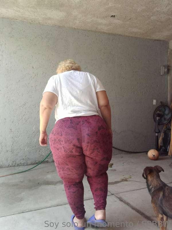 sweetpantherbbws image #8