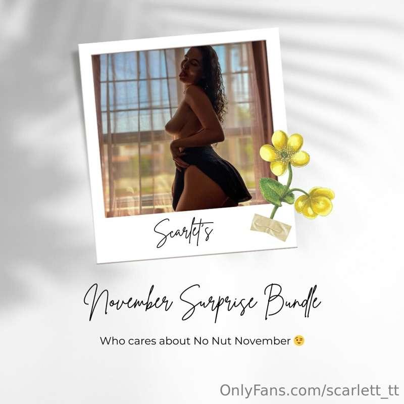 Are you ready for my SPECIAL SURPRISE BUNDLE for NOVEMBER???..