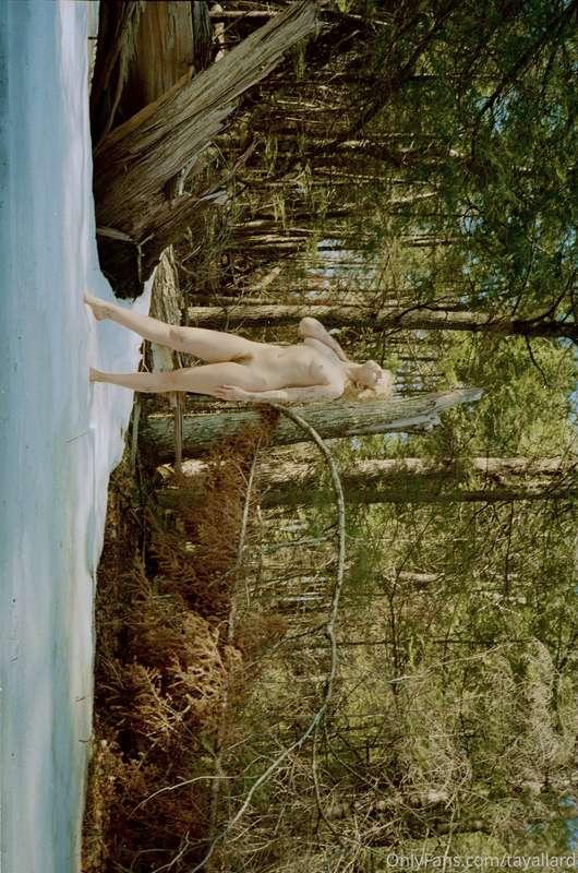 some more from my trip to a cabin
