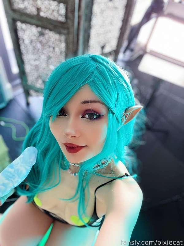 pixiecat image #12