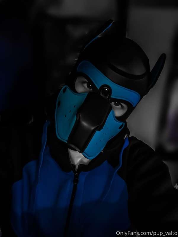 The pup has joined the dark side