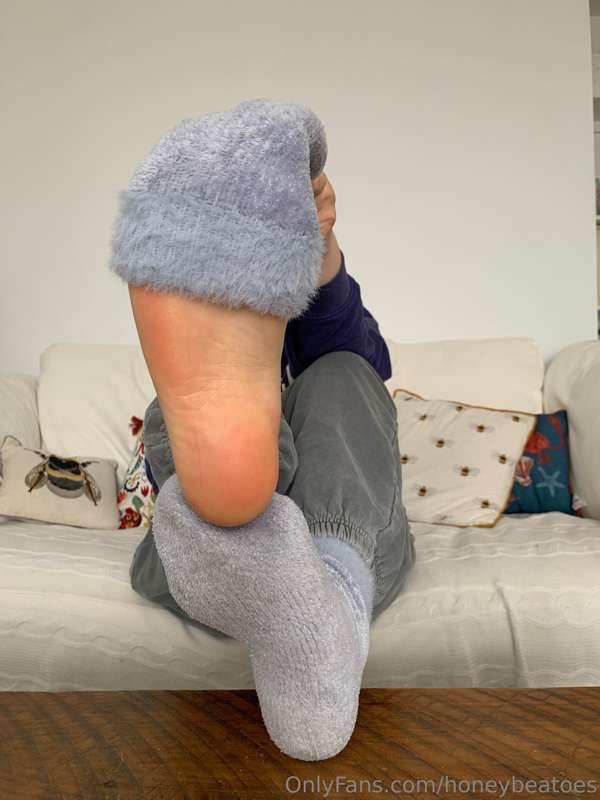 honeybeatoes image #5