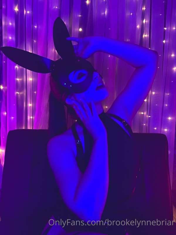 🐰🐇🐰