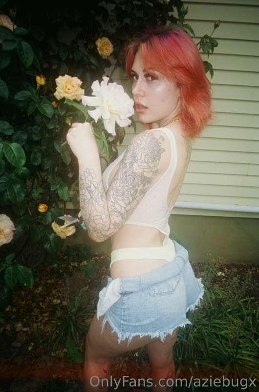 i totally know how to trim roses 

📸 @sxbphoto / film