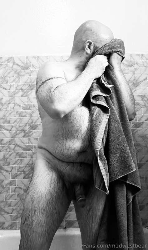 m1dwestbear image #5