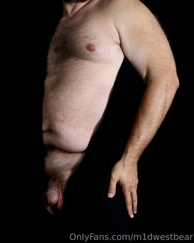 m1dwestbear image #15