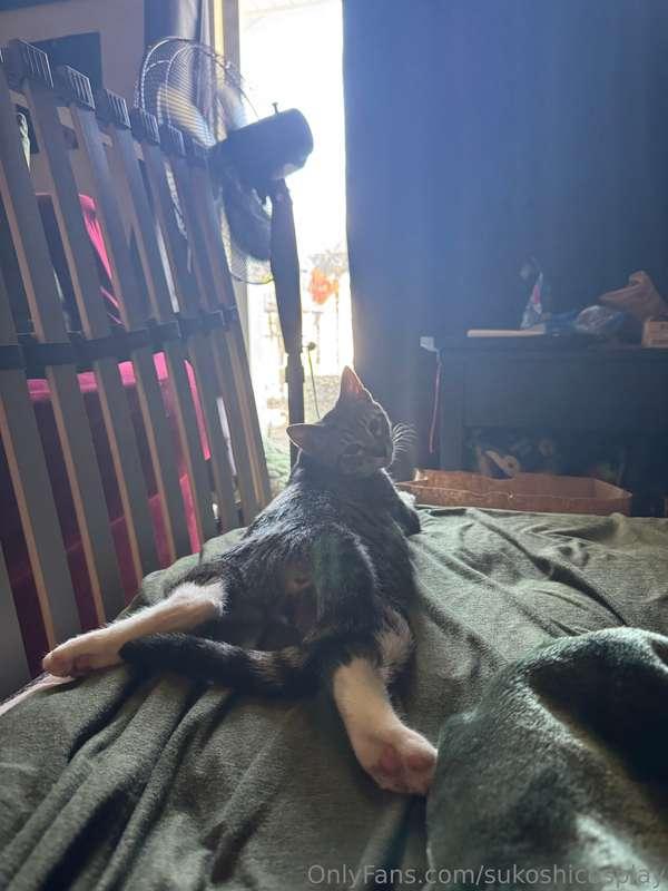 sukoshicosplay image #3