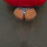bigbootyhoe99