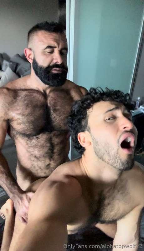 alphatopwolf22 image #31