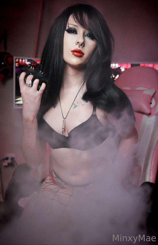minxybites image #1