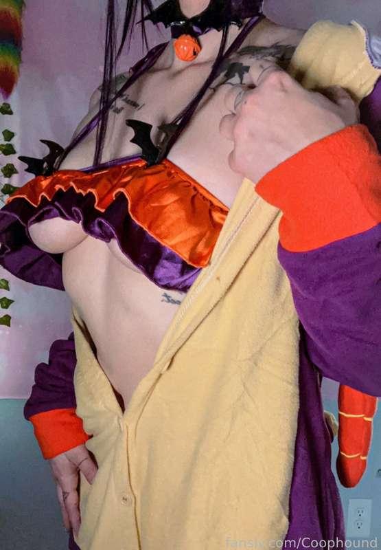 coophound image #4