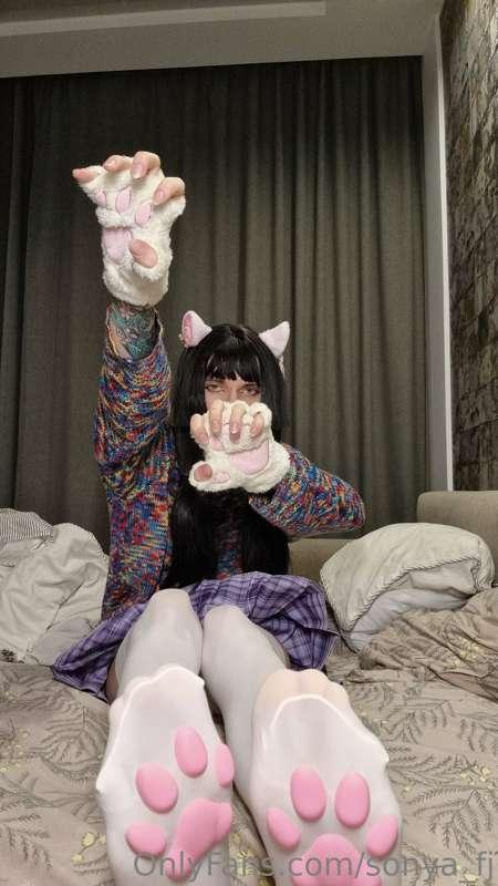 meow, bro~