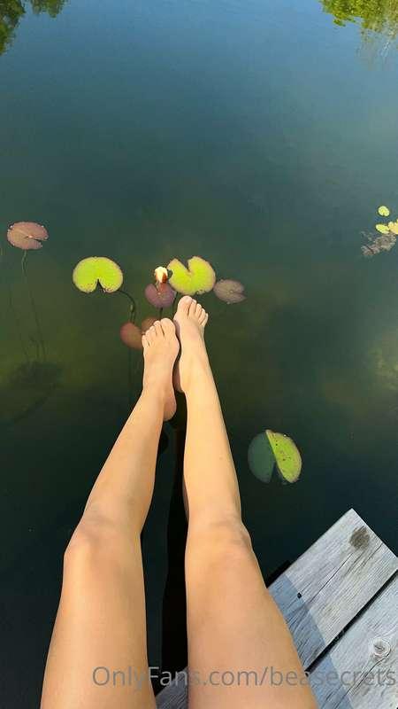 Scorci di natura sotto i miei piedini 🌿