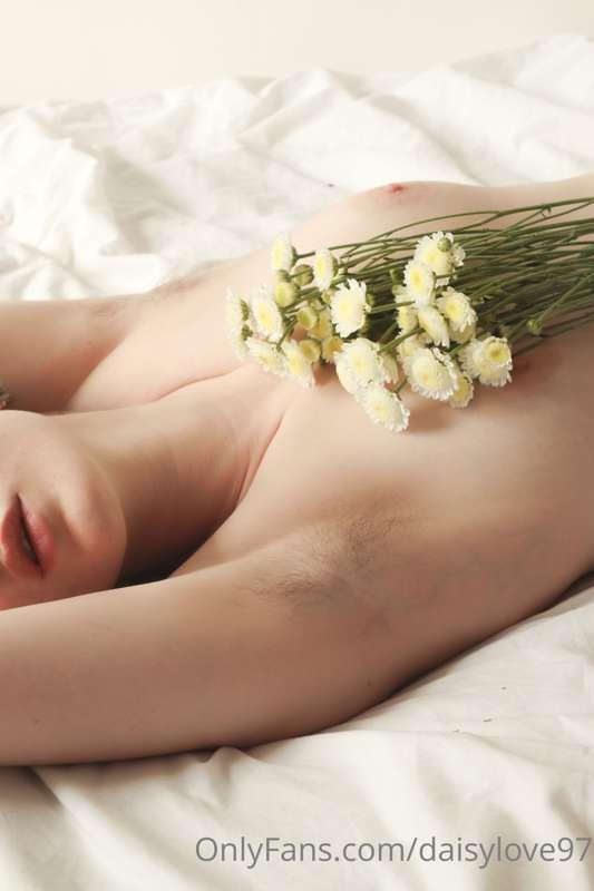 daisylove image #4