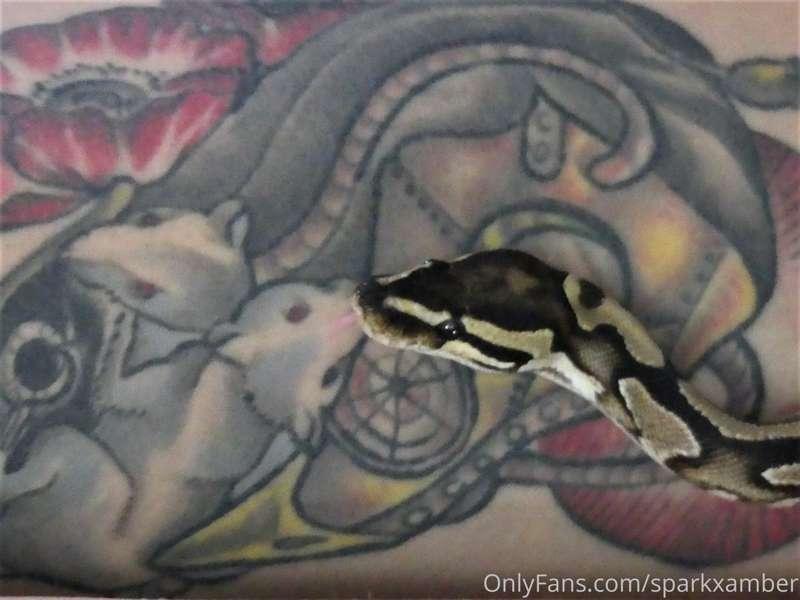 sparkxamber image #19