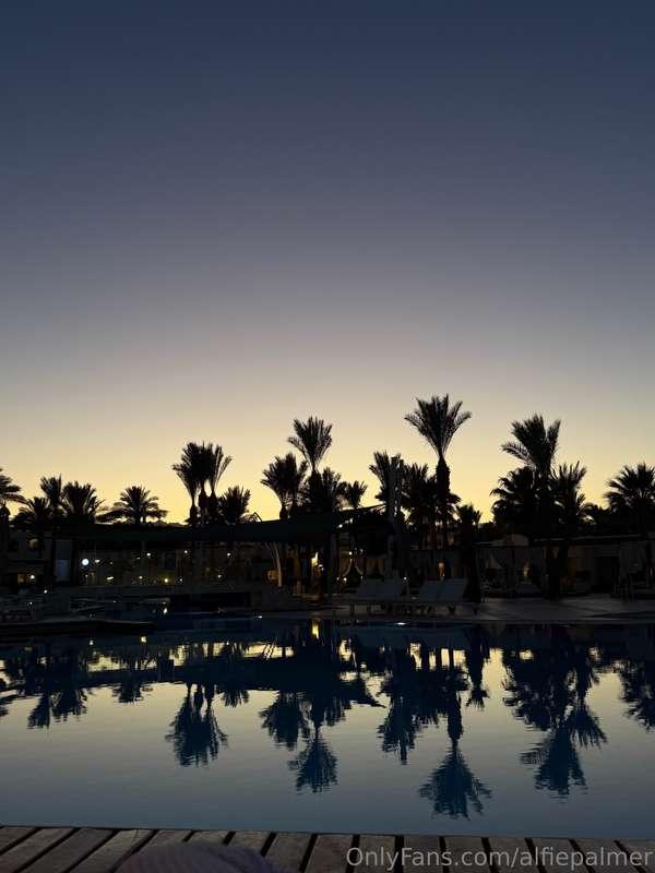 alfiepalmer image #2