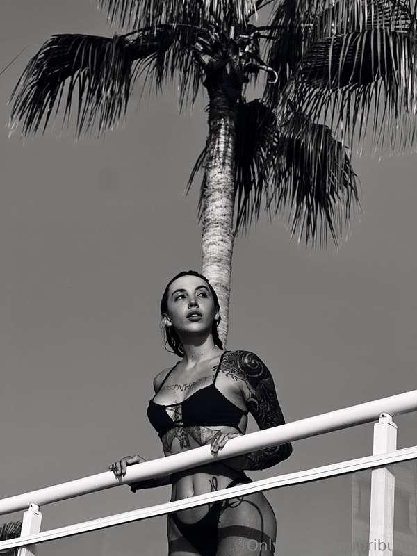 Sunlight, light wind and the feeling that every movement is ..