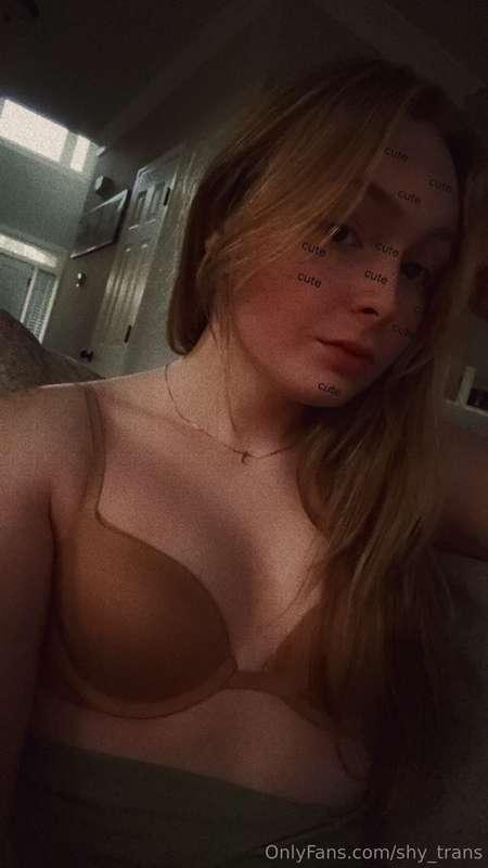 shy_trans image #3