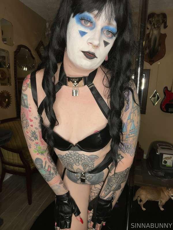 sinnabunny.premium image #3