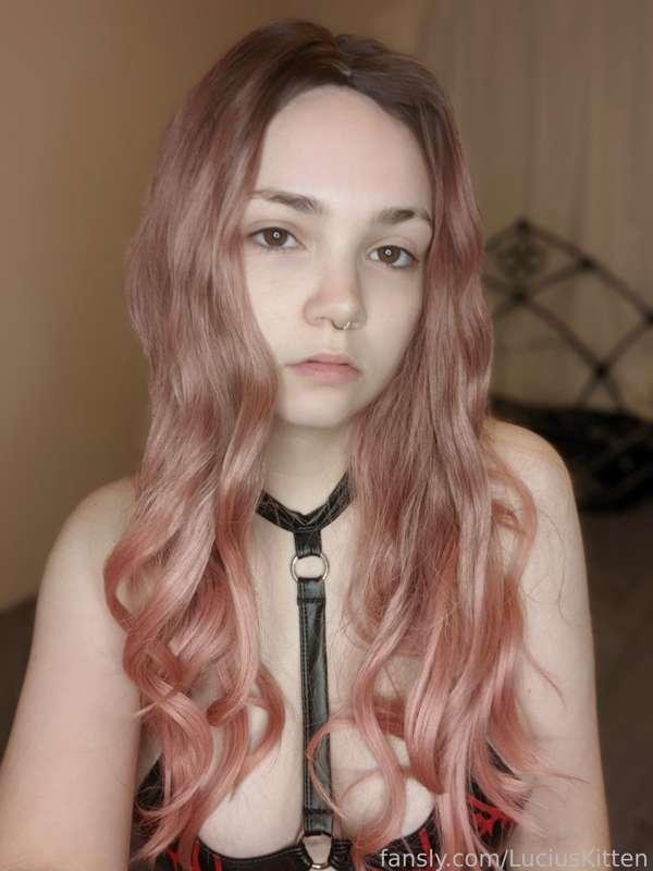 luciuskitten image #2