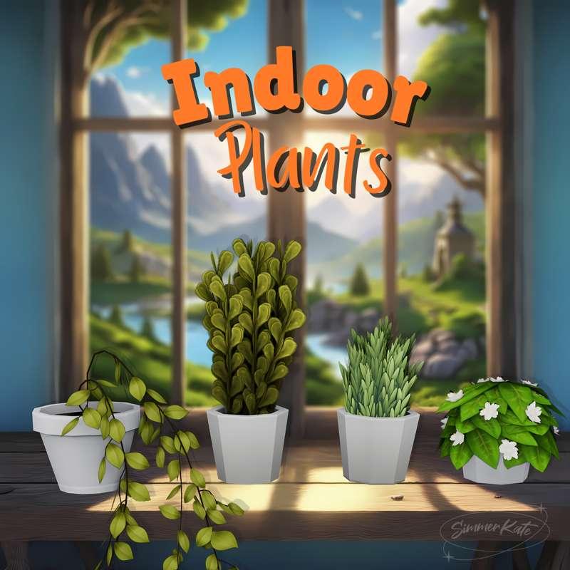 MM indoor Plants