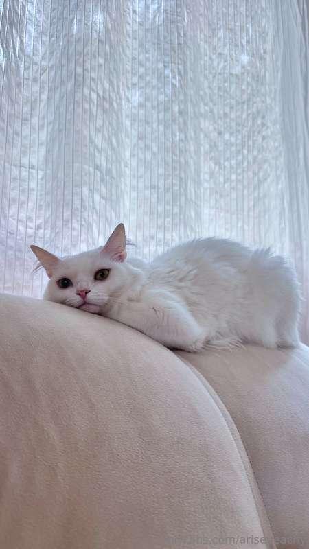 Sometimes I feel like she’s doing an evil plan to steal the ..