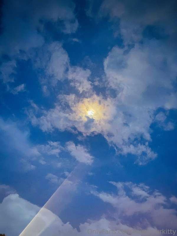 loveyourkitty image #4