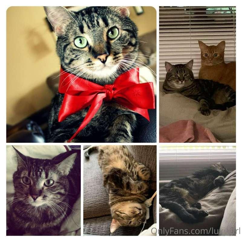 You may not know this about me but I LOVE animals and this g..
