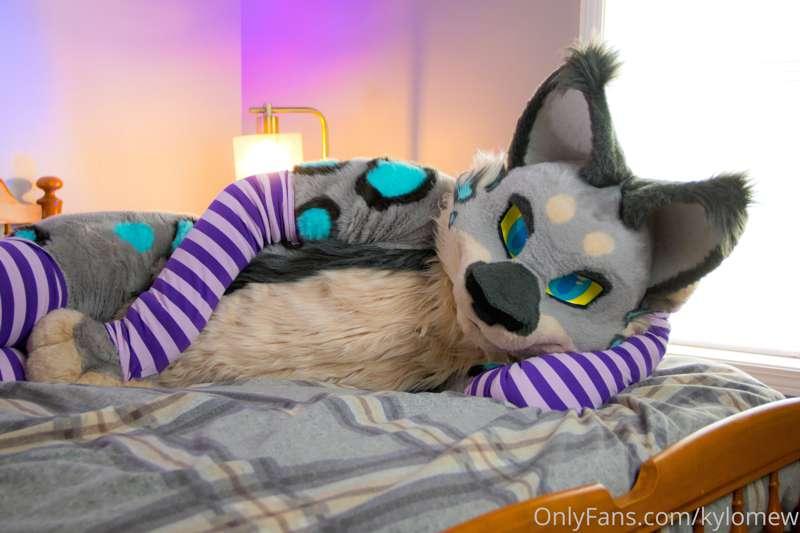 Now taking big spoon applications, will provide warmth and b..