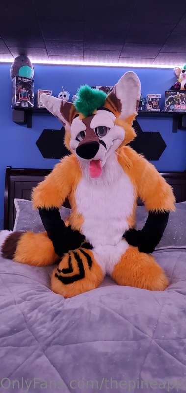 thepineapplefox image #6
