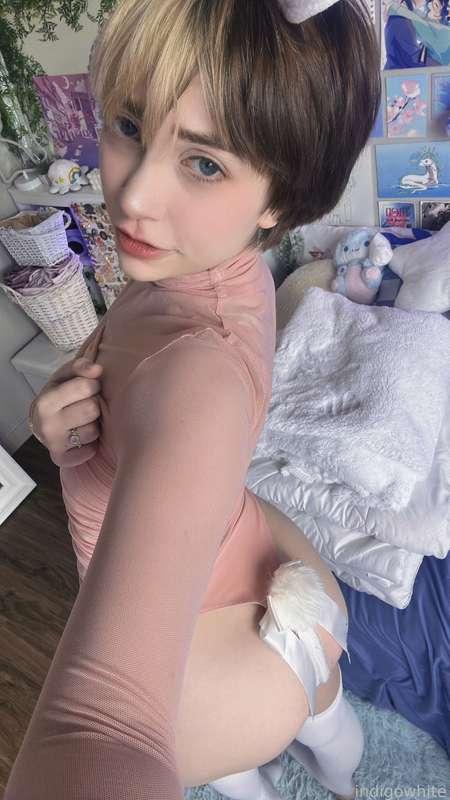 indigowhite image #60