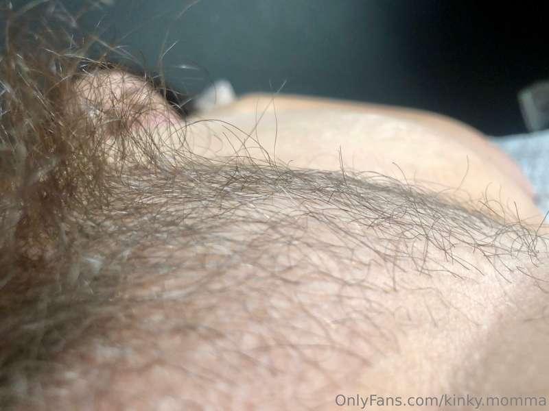 Hiding in the bush 🙈🌳